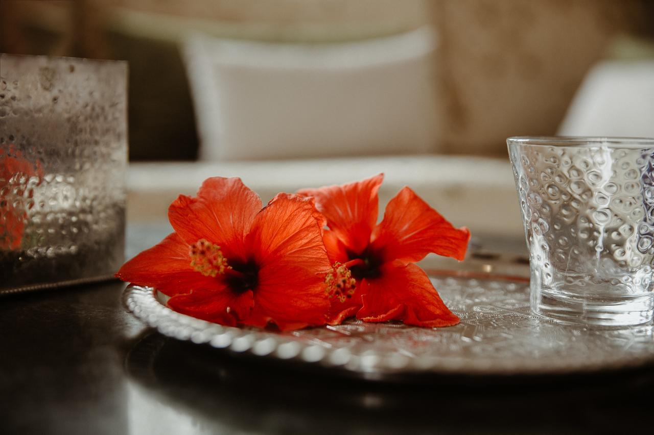 Le Bled Ferme Bed & Breakfast